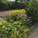 דירה Stellwerk, Optional Mit Sauna Und Whirlpool Dahlem (Euskirchen)