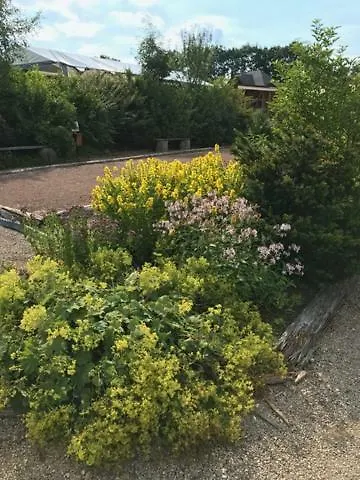 Lejlighed Stellwerk, Optional Mit Sauna Und Whirlpool Dahlem (Euskirchen)